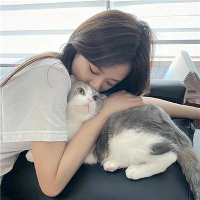 骗骗喜欢你